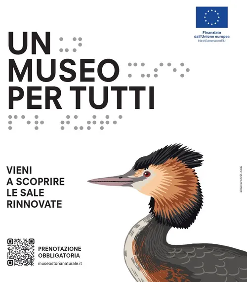MORBEGNO | UN MUSEO PER TUTTI 