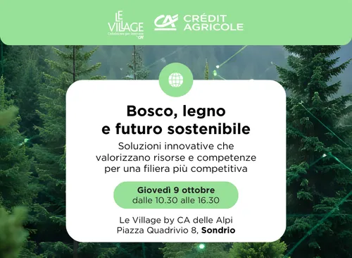 Bosco, legno e futuro sostenibile