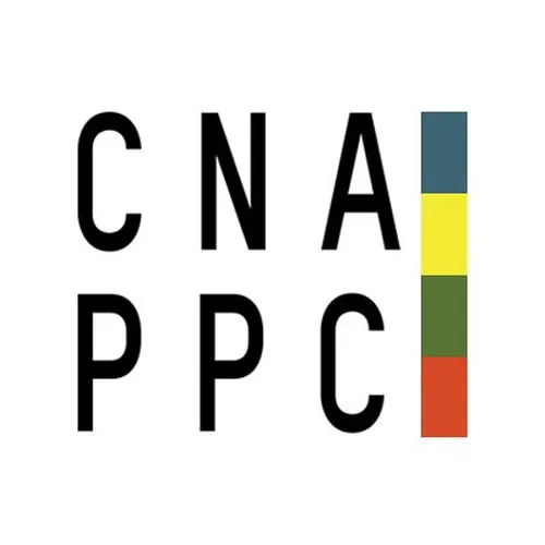 CNAPPC | Innovazione, sostenibilità e sicurezza nelle infrastrutture stradali. Le esperienze e le proposte dei soci Gold