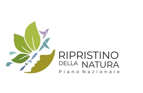 Consultazione per la definizione del Piano Nazionale di Ripristino (PNR)